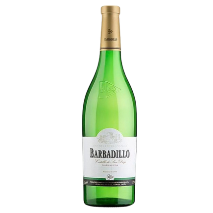 Barbadillo Castillo San Diego Blanco Kopen