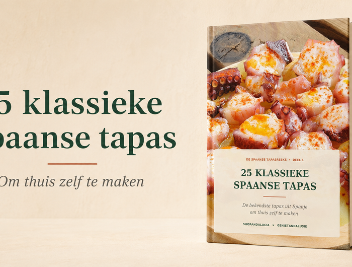 E-book 25 klassieke Spaanse tapas om thuis zelf te maken