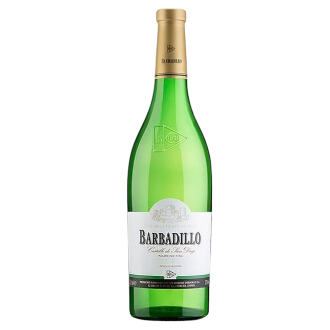 Barbadillo Castillo San Diego Blanco Kopen