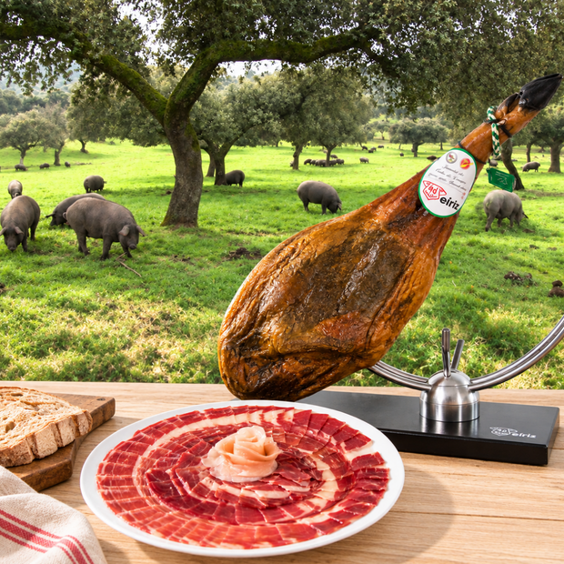 <h2>Van Serrano tot Ibérico </h2>